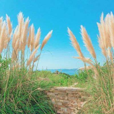 威尼斯会员登录